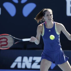 Wilson Natural Gut String Set 12,2m -Wilson Shop 02009000 62